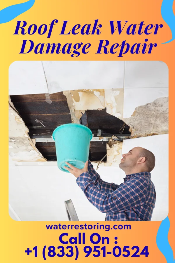 Roof Leak Water Damage Repair in Atwood, TN